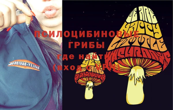 спайс Костерёво