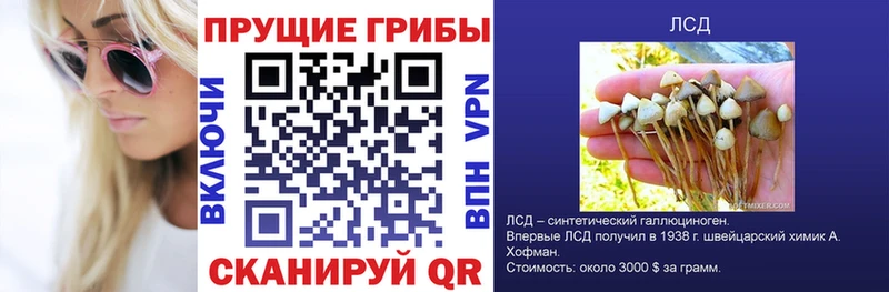 Псилоцибиновые грибы мухоморы  дарнет шоп  Никольск 